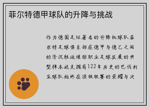 菲尔特德甲球队的升降与挑战